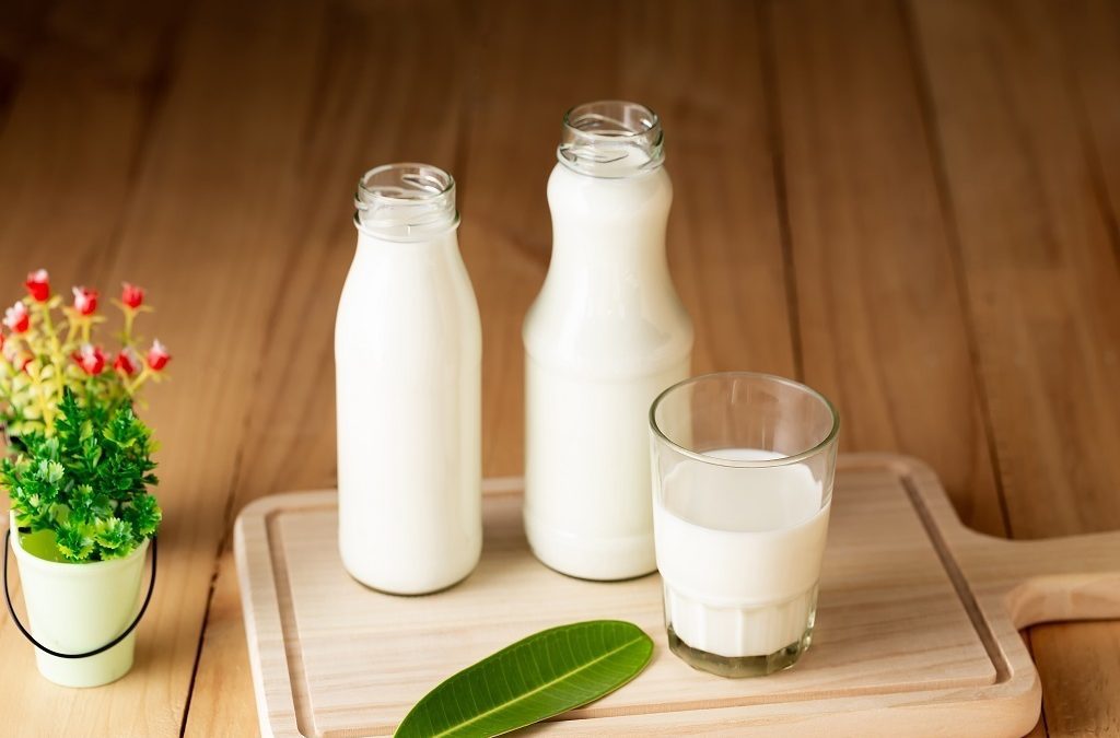 Turunkan Kolesterol Jahat dengan 5 Jenis Susu ini, Wajib Tahu!