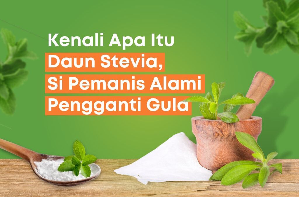 Kenali Apa Itu Daun Stevia, Si Pemanis Alami Pengganti Gula