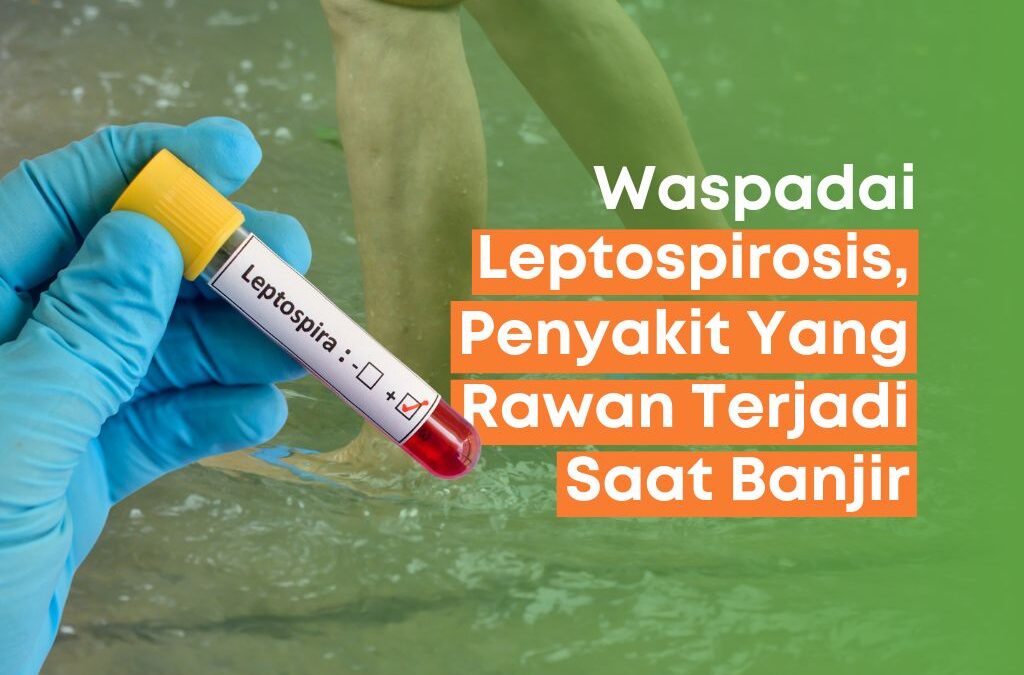 Waspadai Leptospirosis, Penyakit Yang Rawan Terjadi Saat Banjir