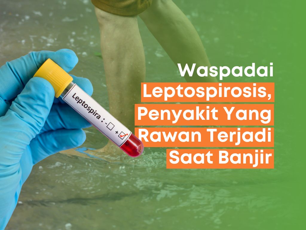 Waspadai Leptospirosis, Penyakit Yang Rawan Terjadi Saat Banjir