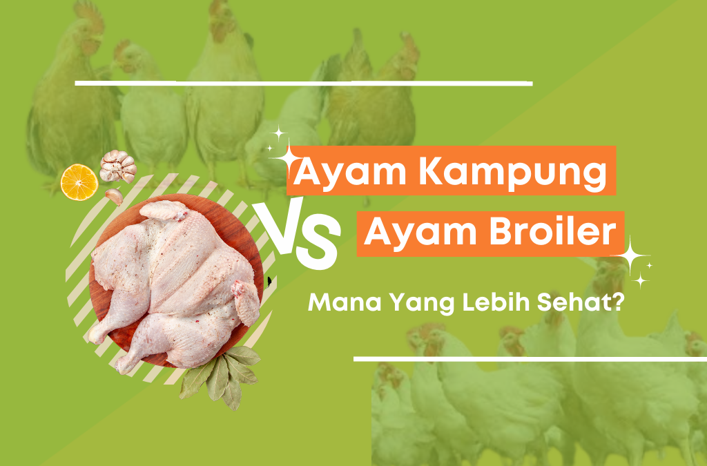 Ayam Kampung vs Ayam Broiler, Mana Yang Lebih Sehat?