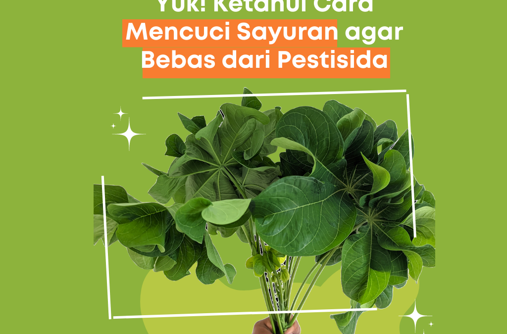 Yuk! Ketahui Cara Mencuci Sayuran agar Bebas dari Pestisida